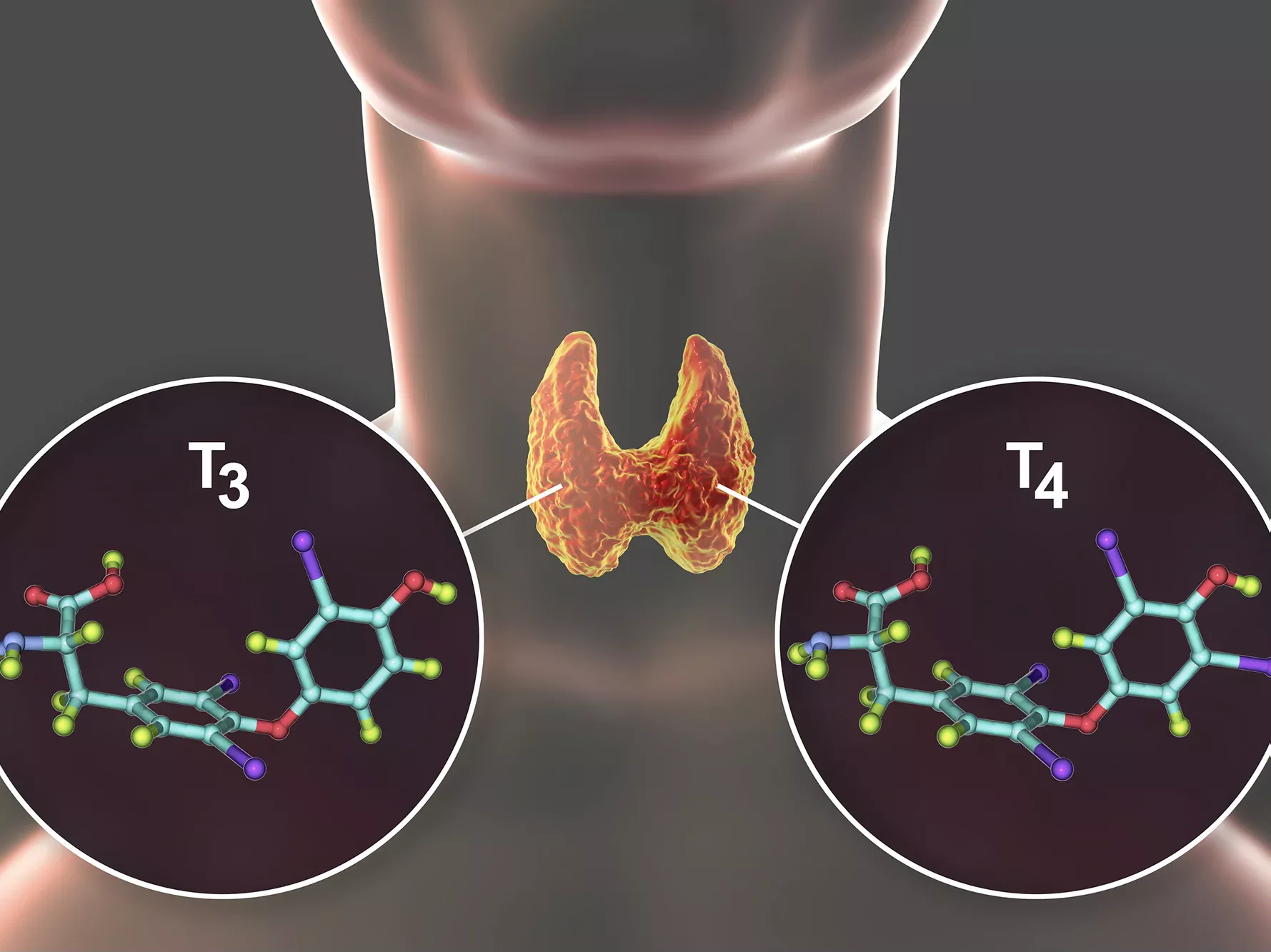 Thyroid Hormone Detection